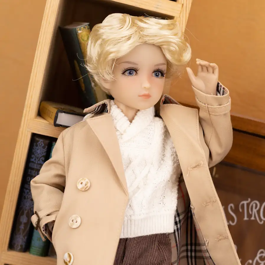 Create Your Dream Doll Doll Series